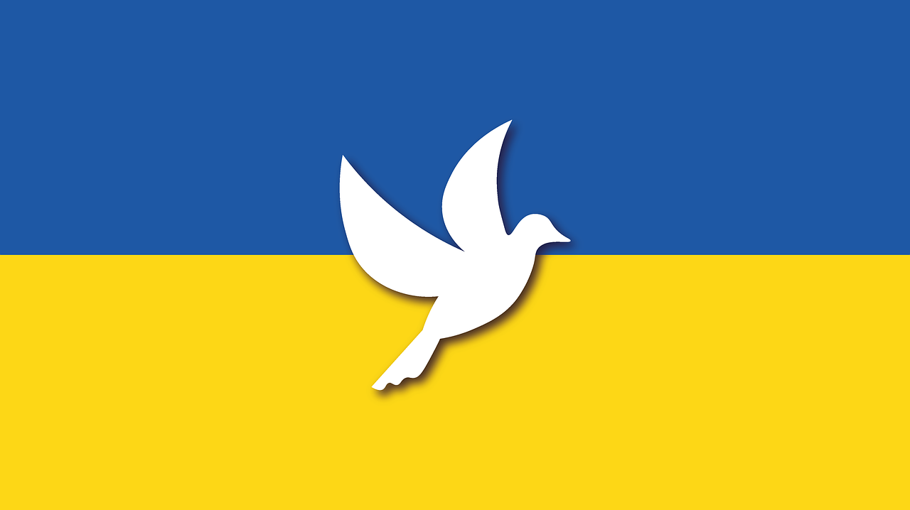 Ucraina No War